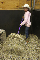 Horse Bedding Step 3