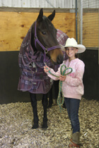 Horse Bedding Step 5